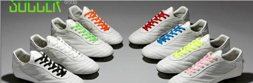  Pantofola d