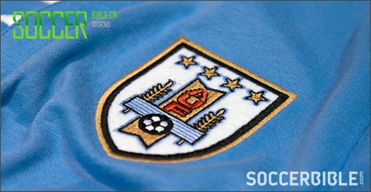 PUMA2013 FIFAϻᱭ 