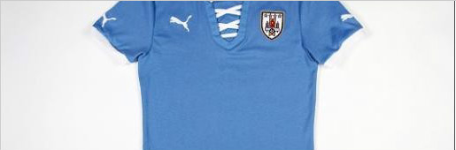 PUMA2013 FIFAϻᱭ 