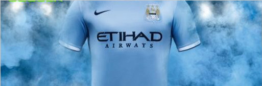 Ϳ˷˹سǶ2013/2014
