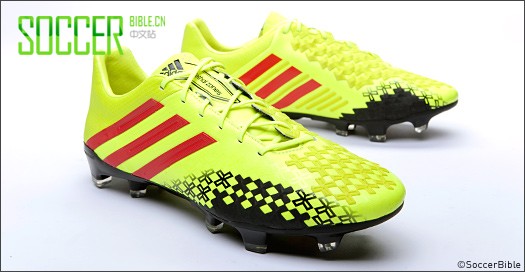 ϴ˹ȫµƴɫPredator LZ II