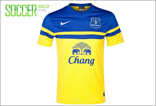 NIKE2013/14ͳ