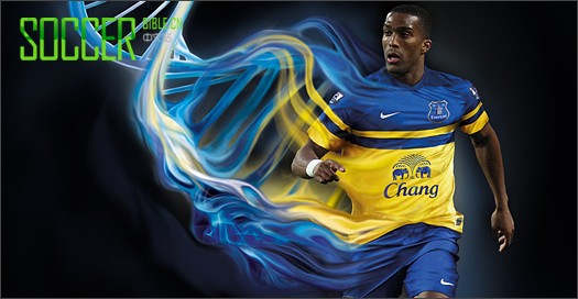 NIKE2013/14ͳ