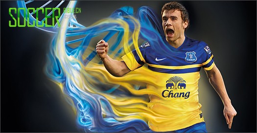 NIKE2013/14ͳ
