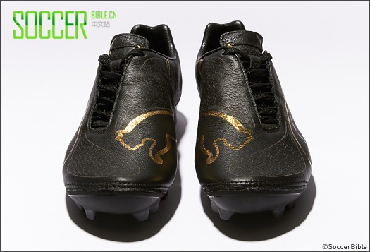 PUMA v1.08 