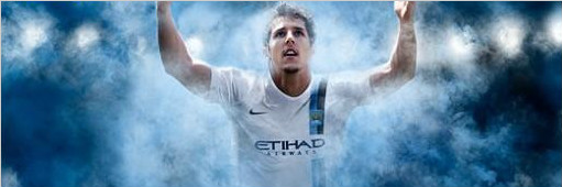 Ƿ2013/14ͳ