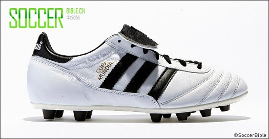 SoccerBibleʷȡͿ˰ϴ˹Ь֮