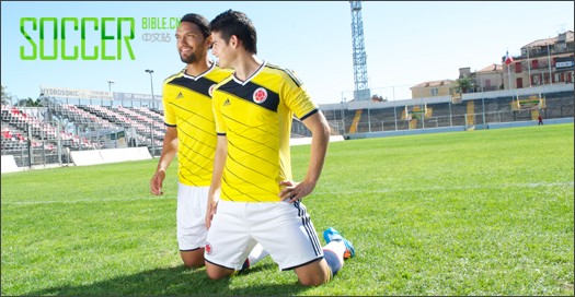 adidasױǹҶ2014籭