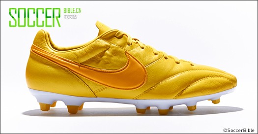 NikeԴڰӢͷеPremierЬ