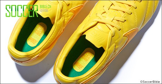 NikeԴڰӢͷеPremierЬ