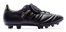 ϴ˹ȫڰCopa MundialЬʥ 