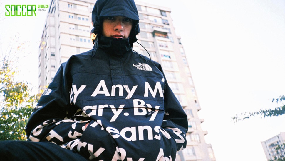 Supreme The North Face