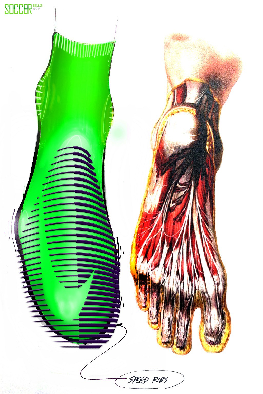 耐克Mercurial Superfly足球鞋