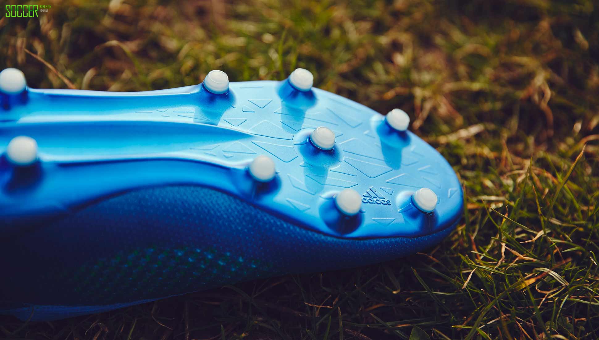 ace-blue-7
