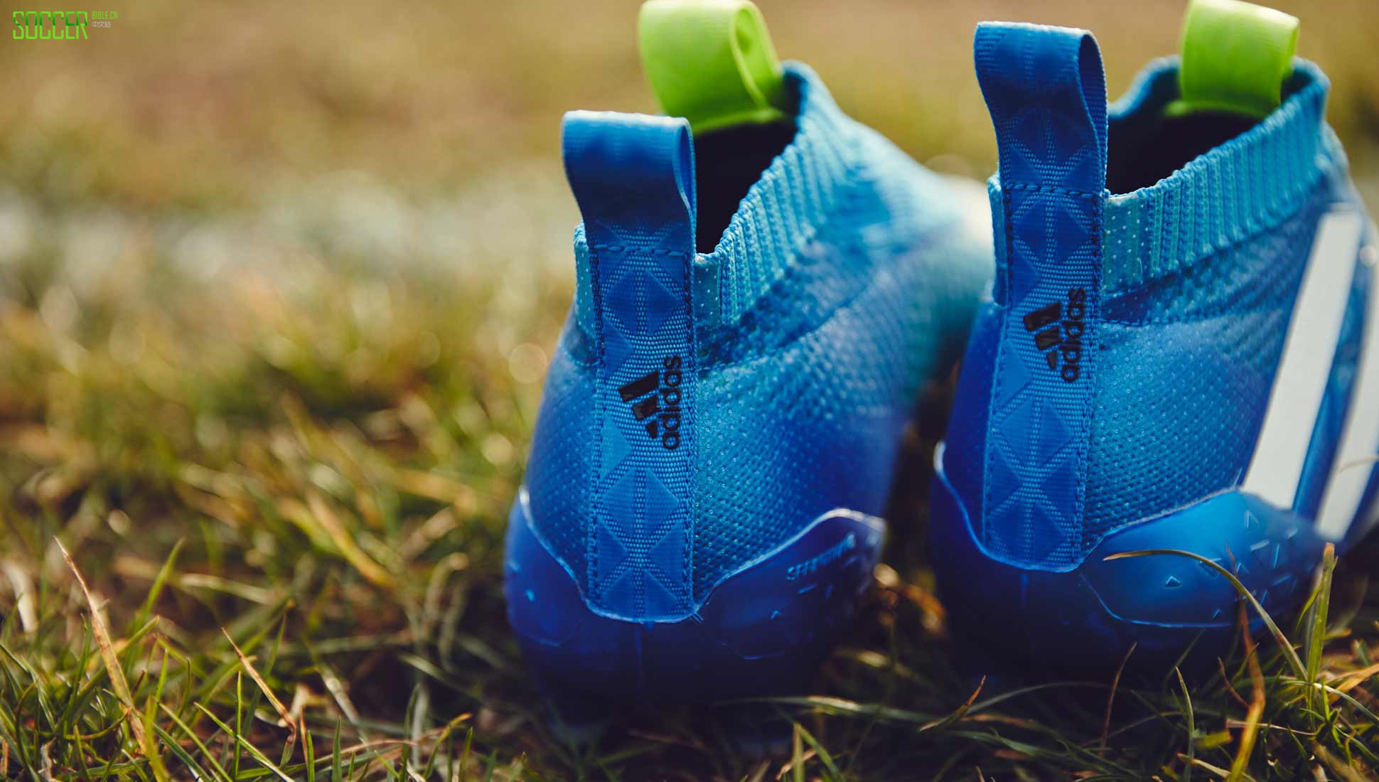 ace-blue-5