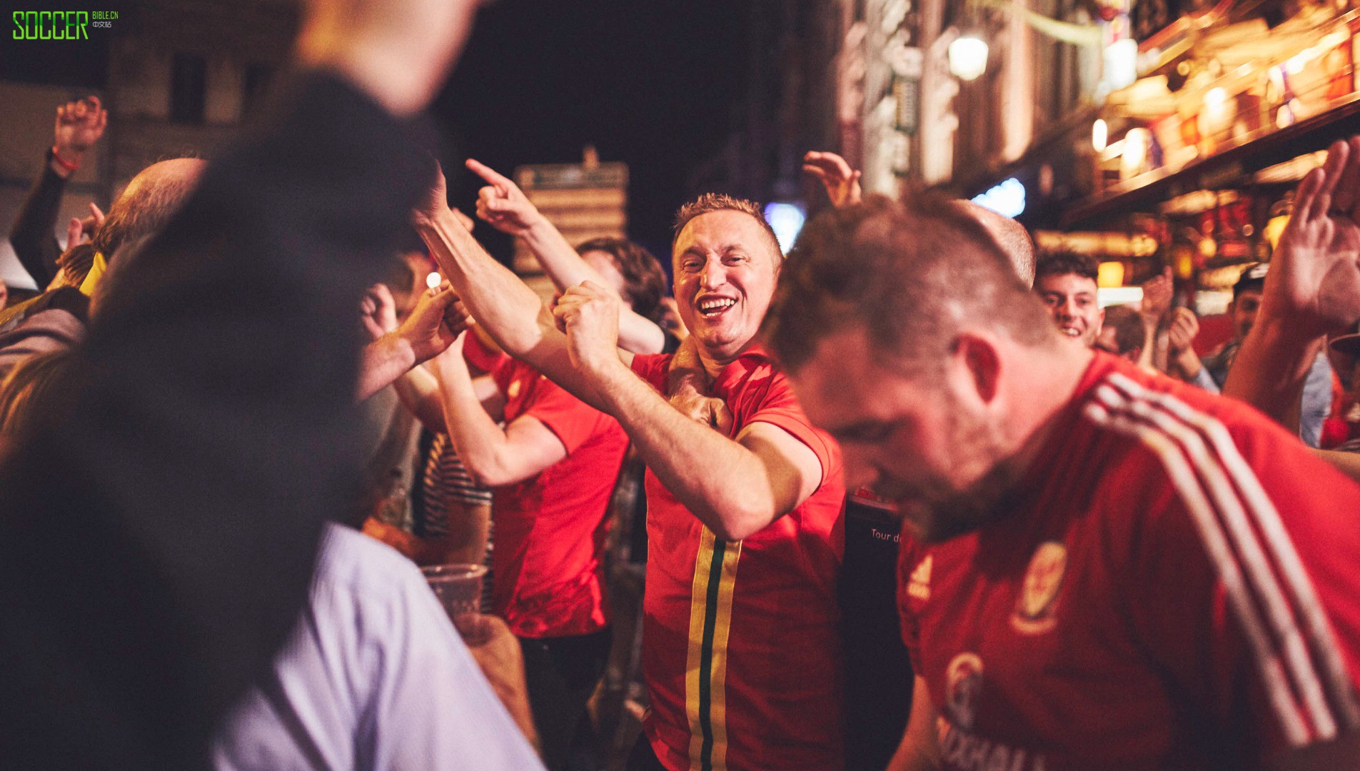 wales-fans-sb_0008_wales-fans-8