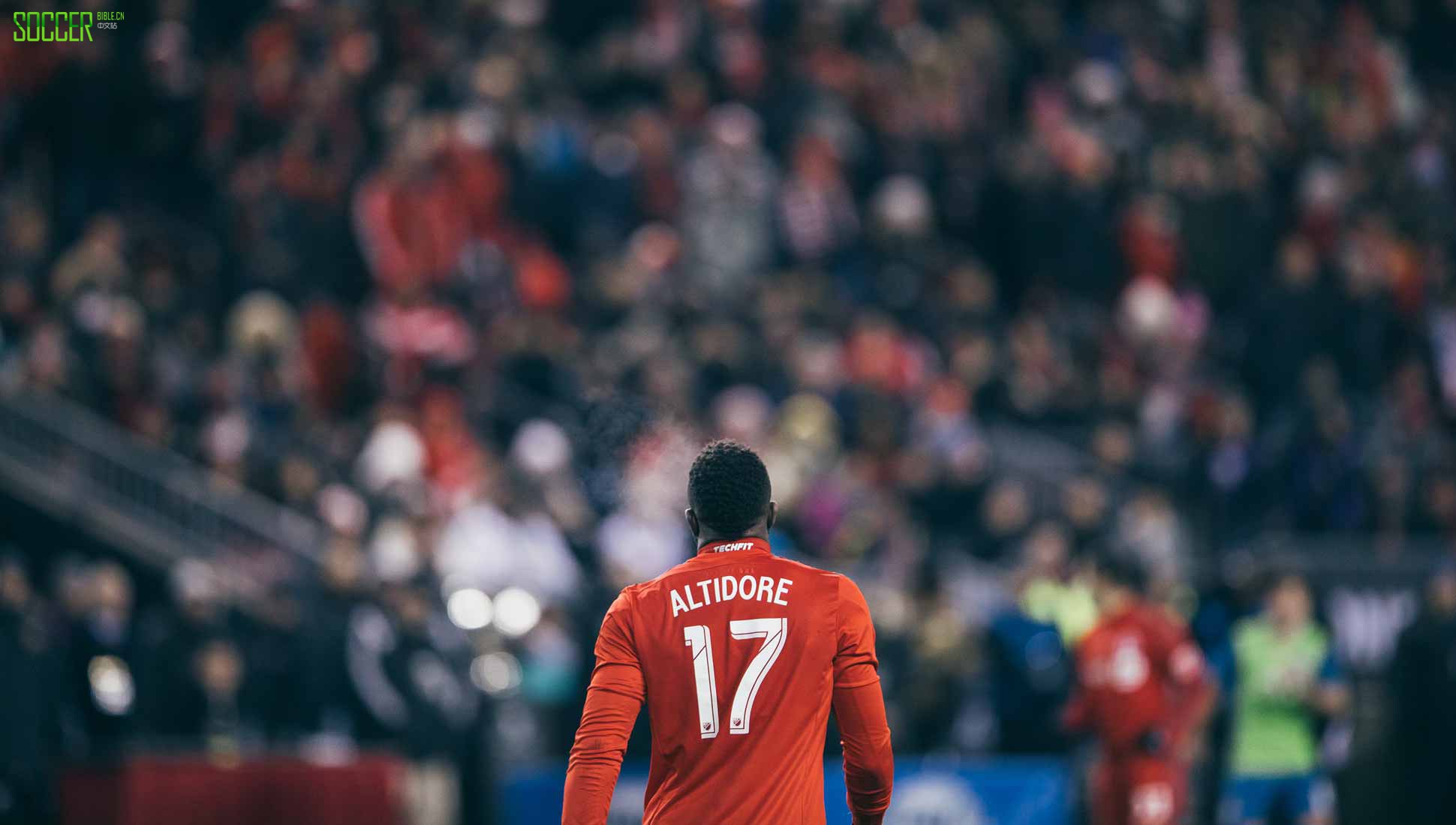 mls29