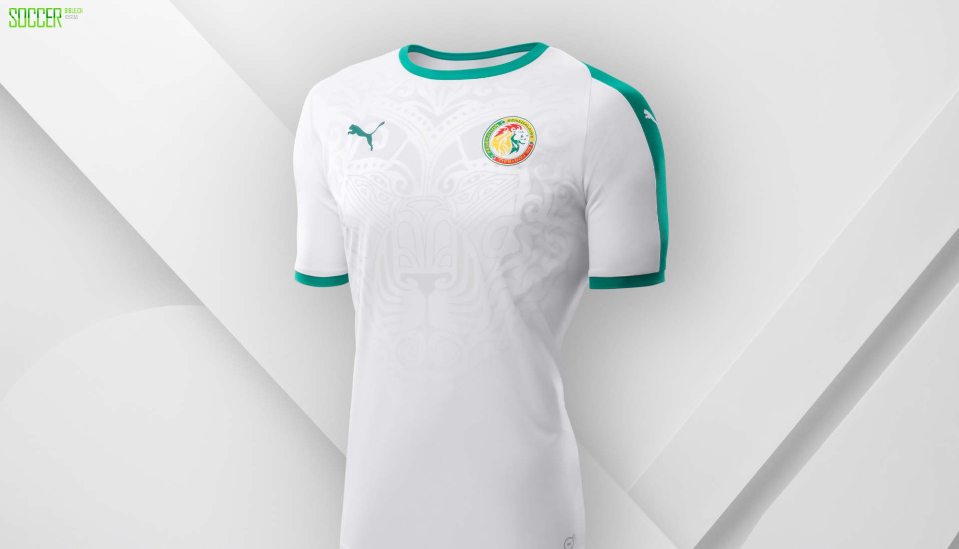 puma-kit6