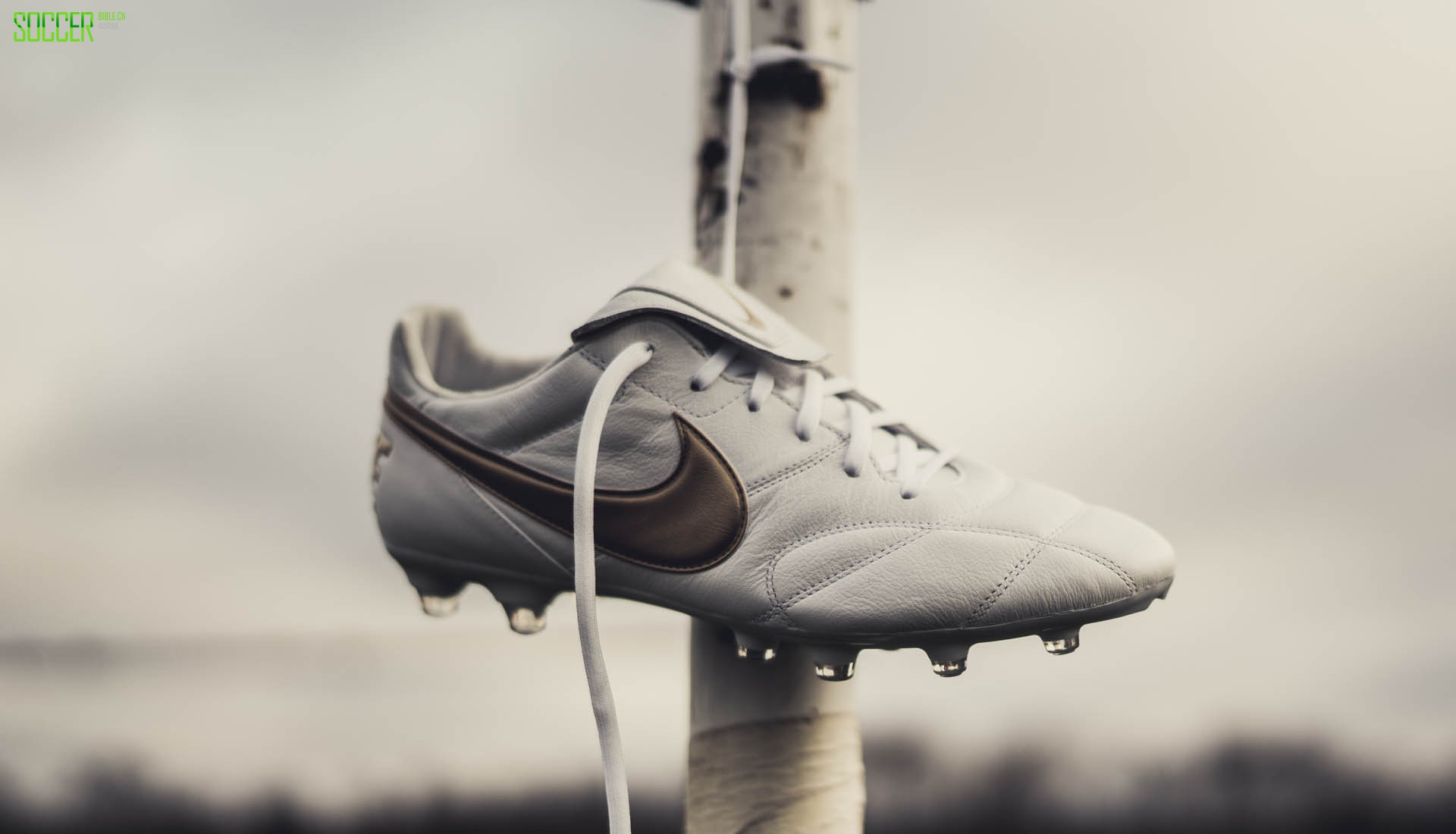 Nike ׽ɫPremier 2.0