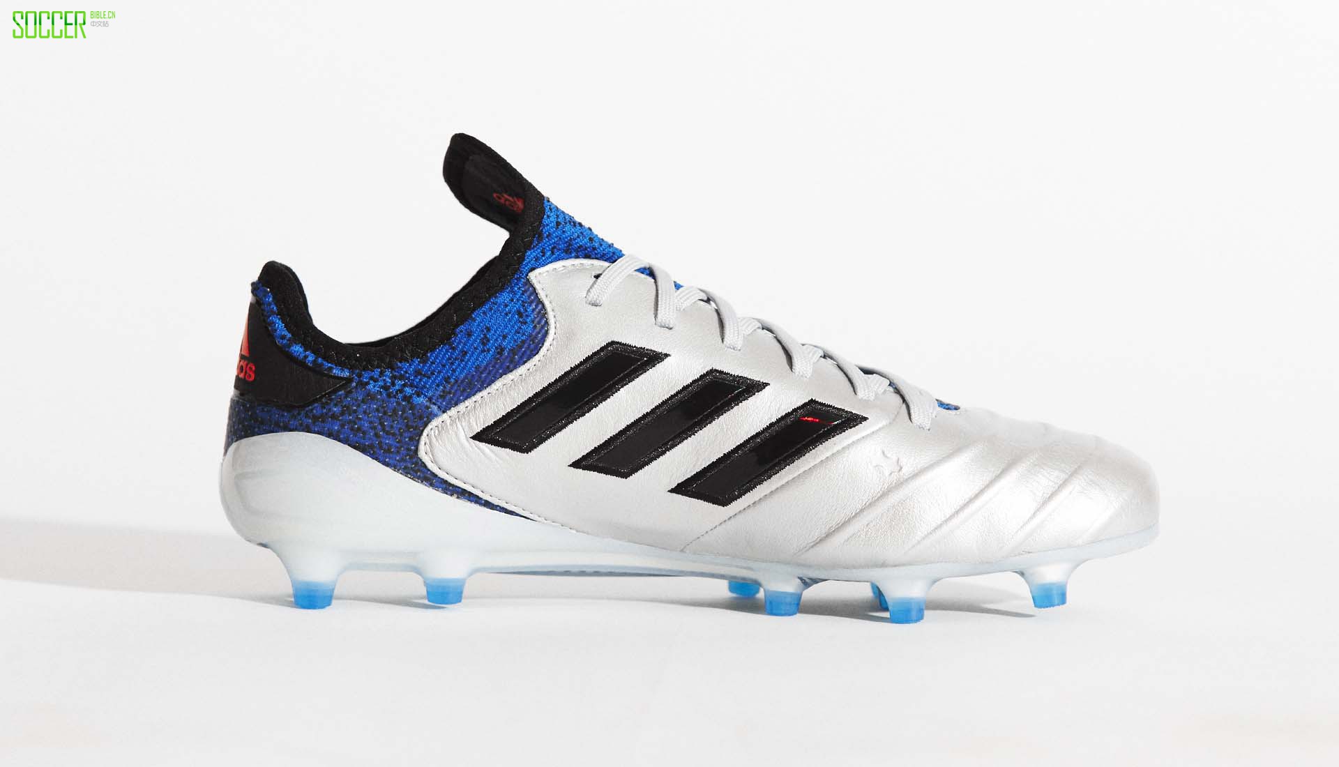 ϴ˹ƳCOPA 18.1 